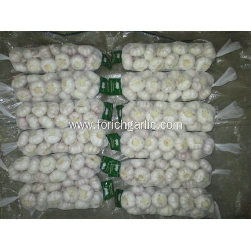 Low Price Crop 2020 Normal Garlic